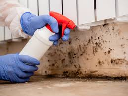 Best Indoor Air Quality Assessment  in Jacksonville, NC